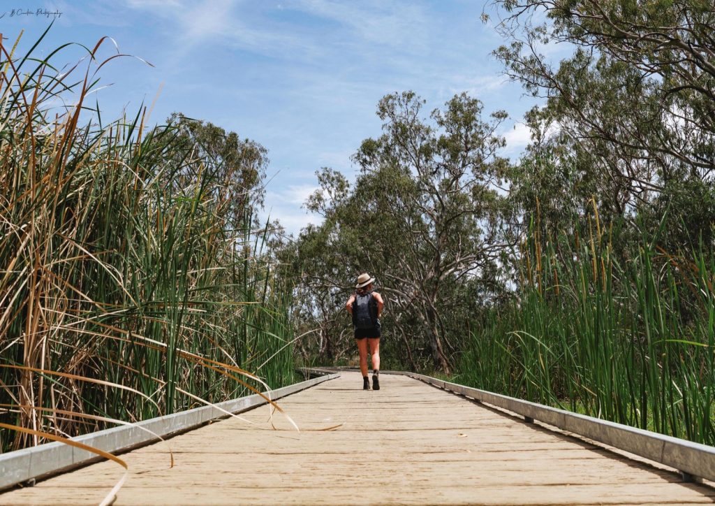 A visitor walking along the timber boardwalk between reeds and trees at Burrima